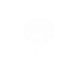 logo camping les oliviers